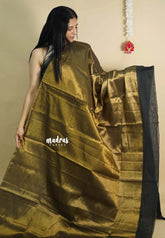 Gold Tissue khadi with black big skirt border - Vani Bhojan saree